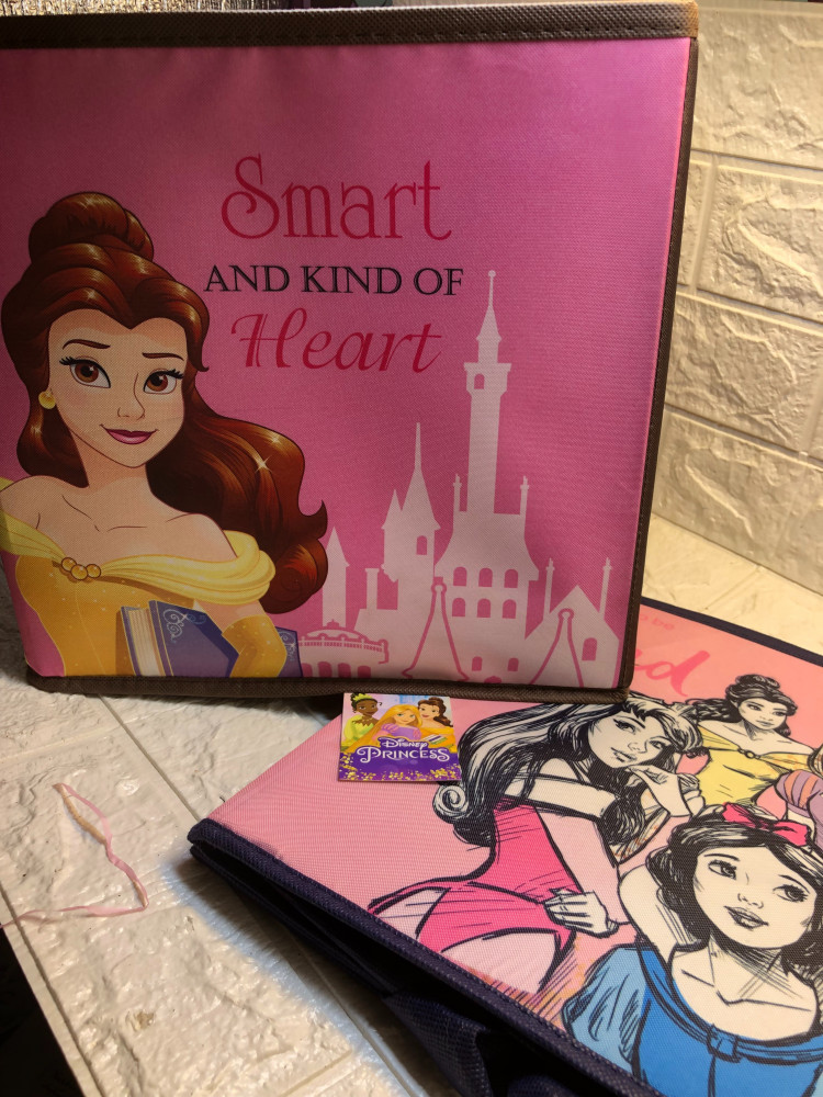 Beautiful and Beast storage box
