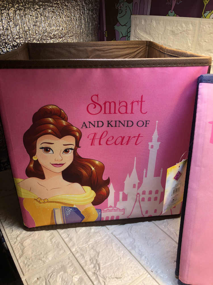 Beautiful and Beast storage box