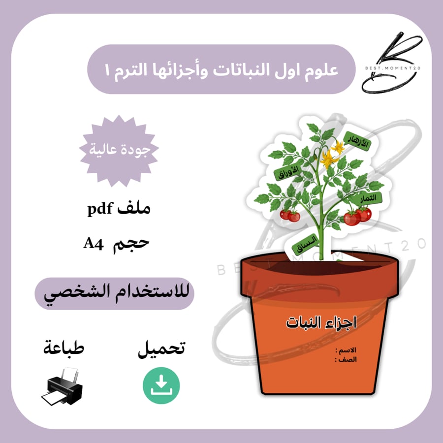 اجزاء النبات علوم الترم١