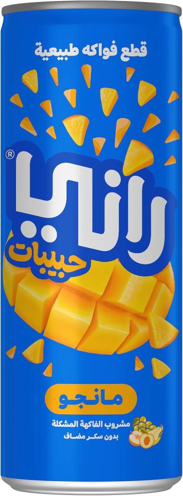 علبة عصير مانجو من راني، 24 × 240 مل - عبوة من 1