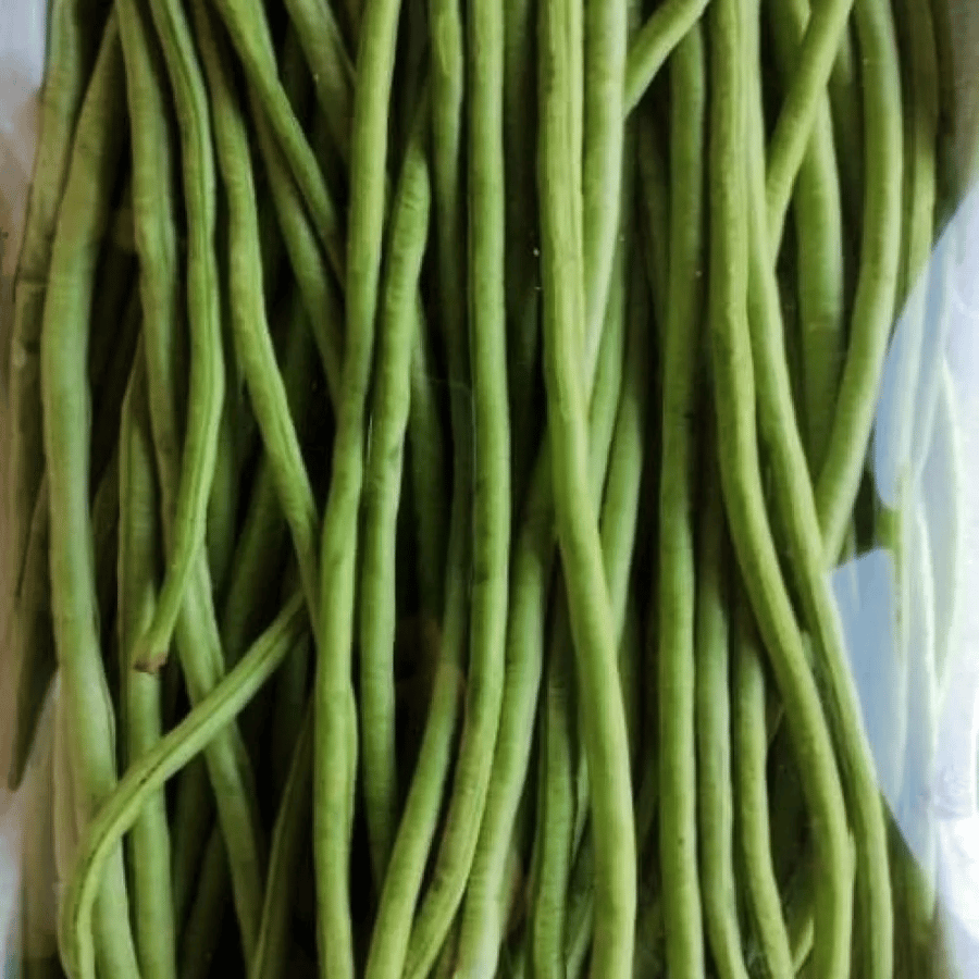 لوبيا