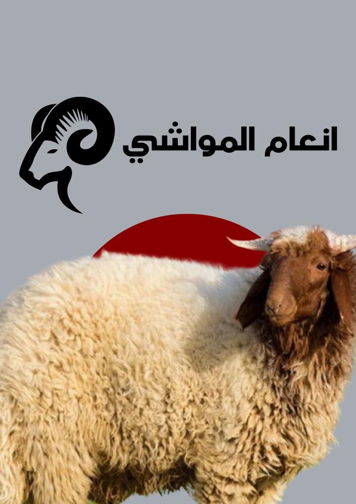 خروف نعيمس هرفي صغير