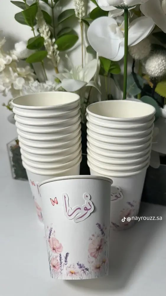 بكج استقبال