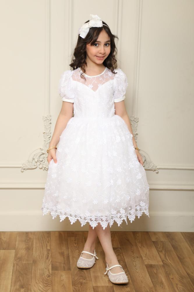 Girls' dress embroidered puffy