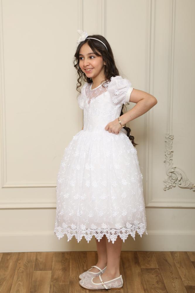 Girls' dress embroidered puffy