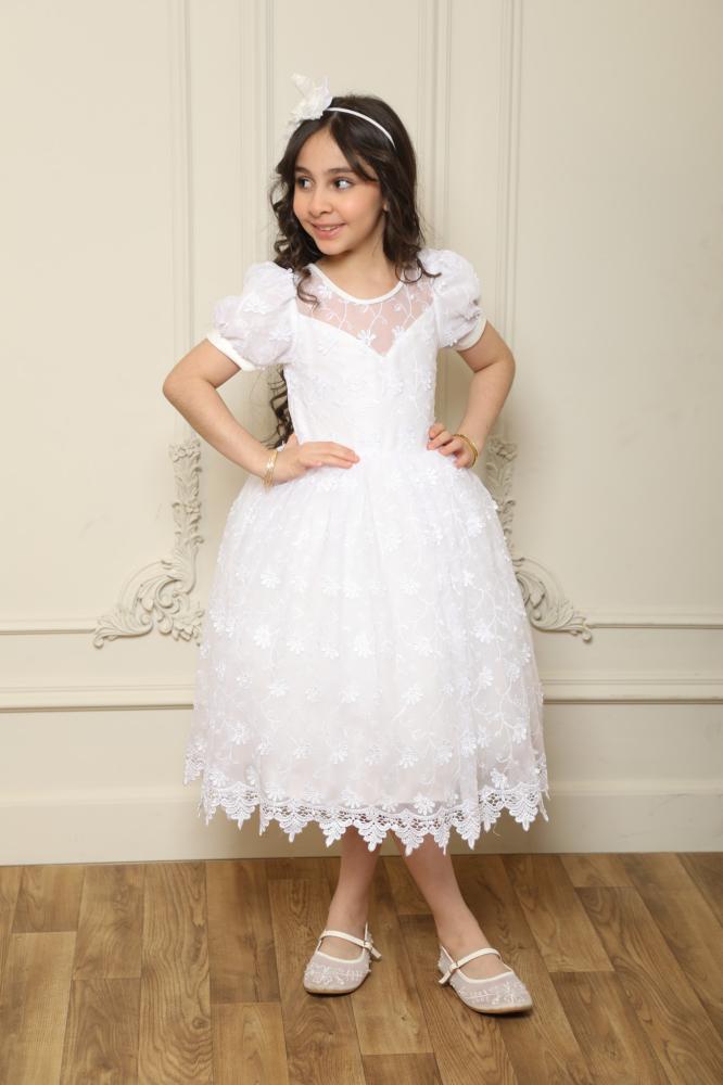 Girls' dress embroidered puffy
