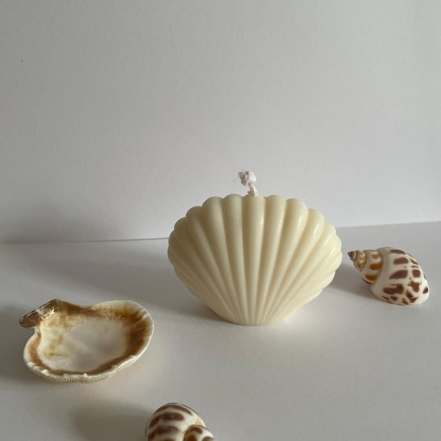 Shell Candle