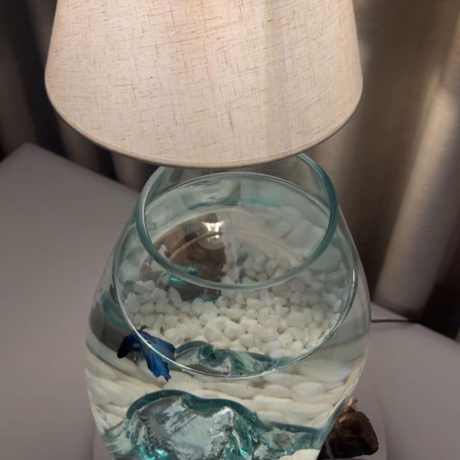 ابجورة خشب طبيعي ١٠٠٪
