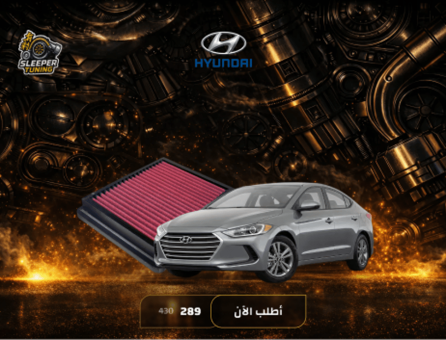 ELANTRA Chip Filter - Elantra 2017-2018 (2.0)