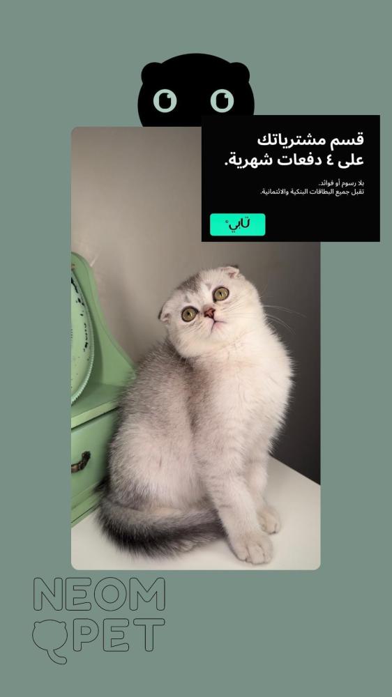 سكوتش فولد ns25