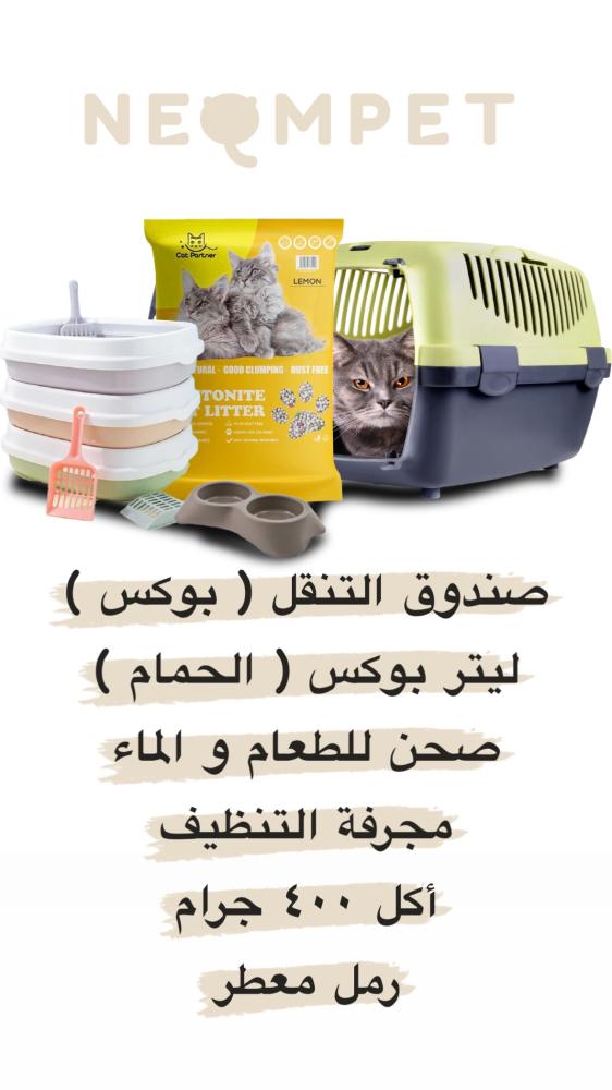 سكوتش ستريت - أنثى
