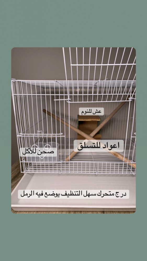 شوقر قلايدر - سينابون
