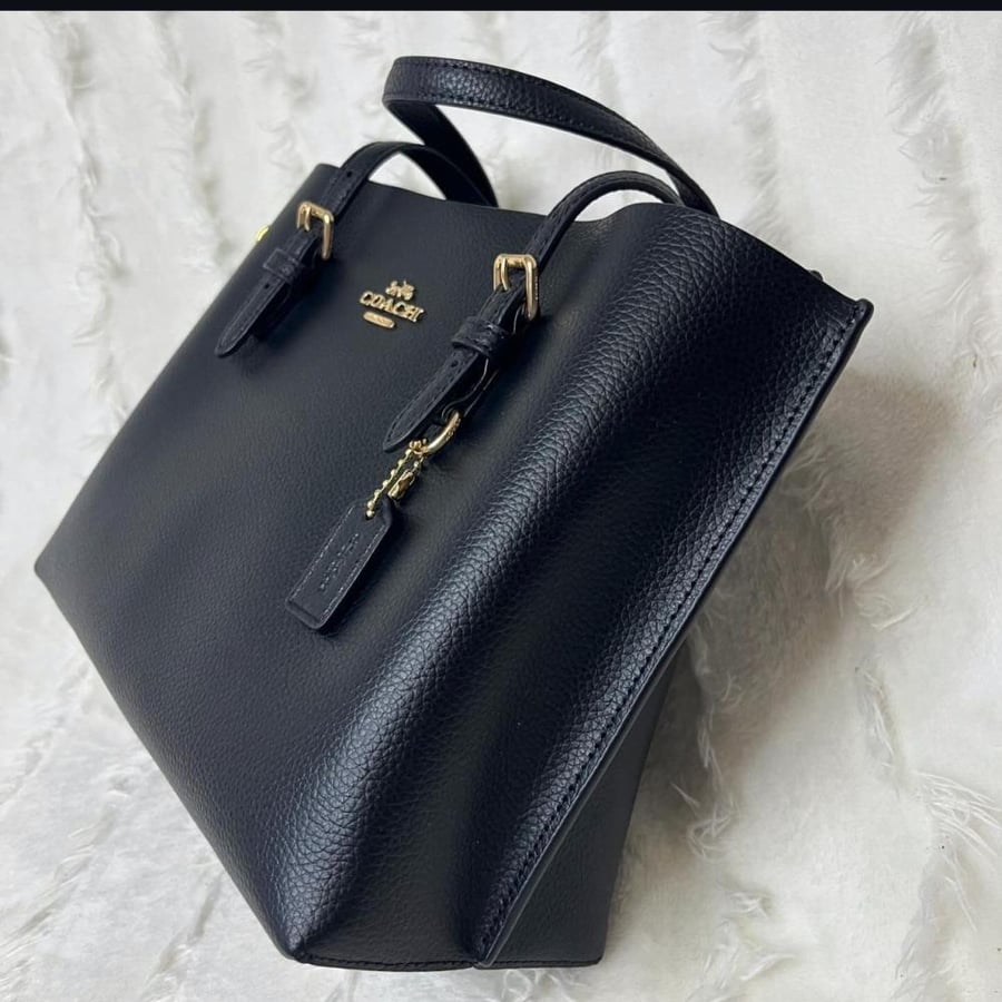 كوتش مولي  ماستر 25CM