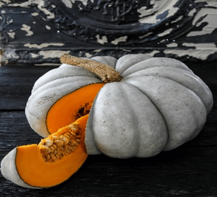 PUMPKIN ZHDANA