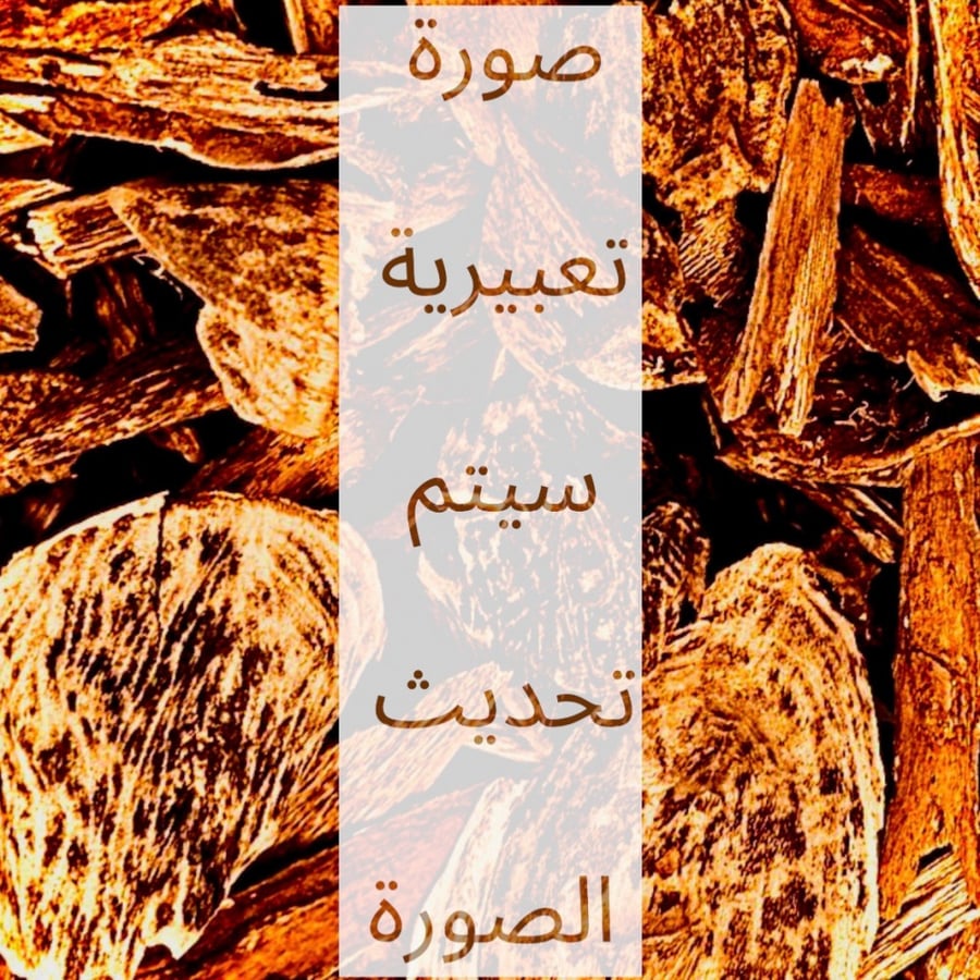 خشب عود كلمنتان - أندروتر دقة الدقة