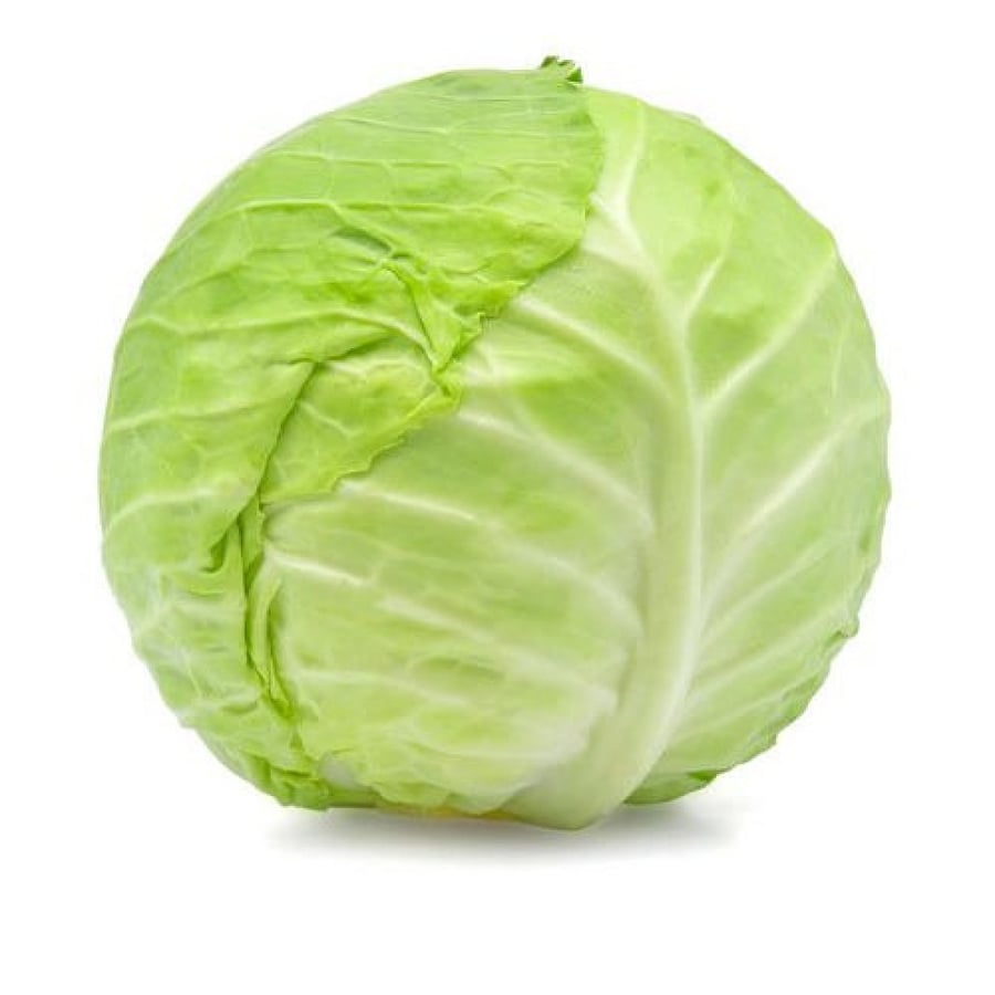 ملفوف عادي حبة
