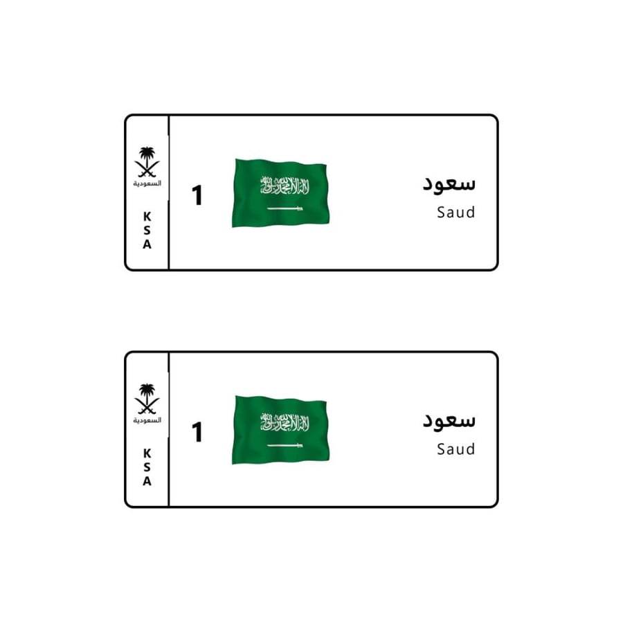 لوحة سيارة مع بصور العلم