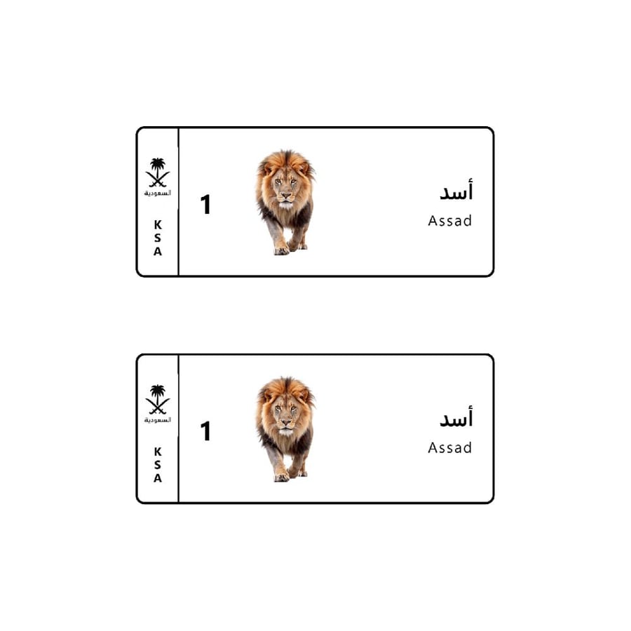 لوحة سيارة مع بصور اسد
