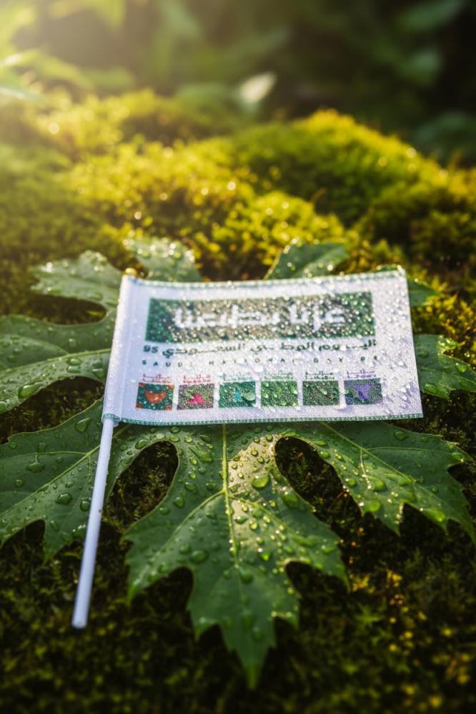علم مكتبي صغير لليوم الوطني السعودي مع قاعدة - هبة