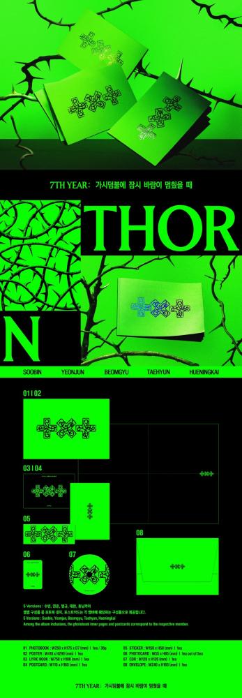 TXT - [7TH YEAR : 가시덤불에 잠시 바람이 멈췄을 때] THORN RANDOM Version