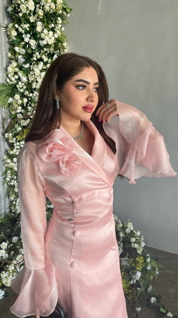 Dress (15)