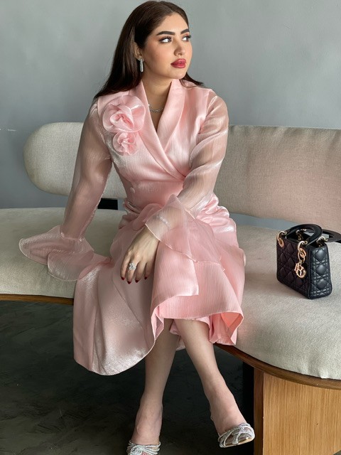 Dress (15)