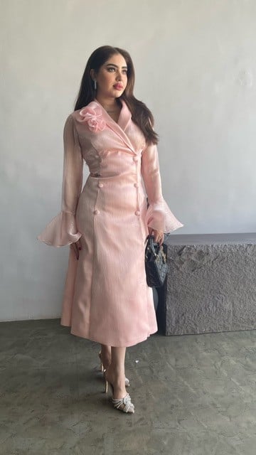 Dress (15)