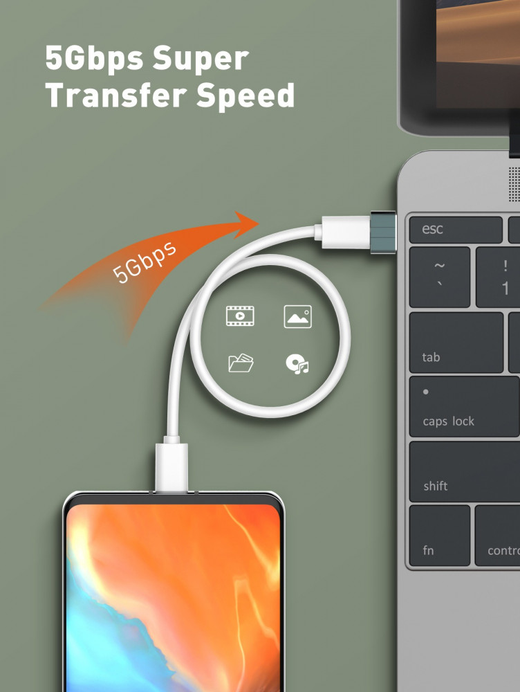 LC150 USB-C Female to USB Male Adapter