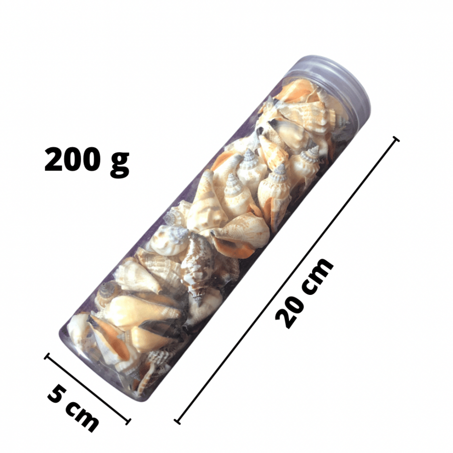 Artificial sea shells