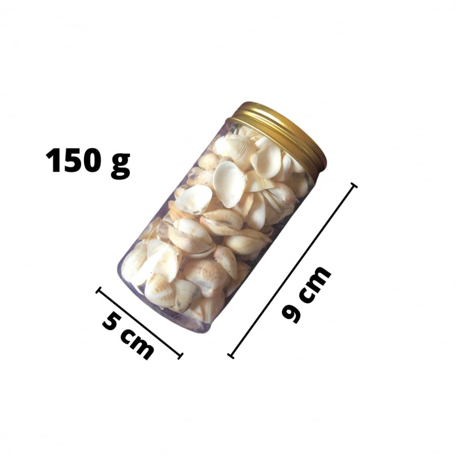اصداف بحر صناعيه حجم صغير