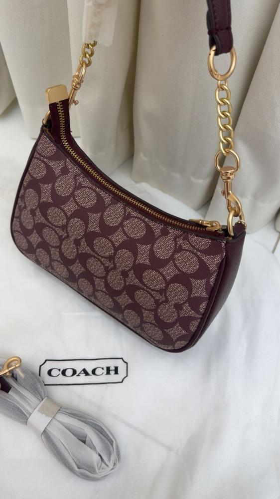 COACH TERRY