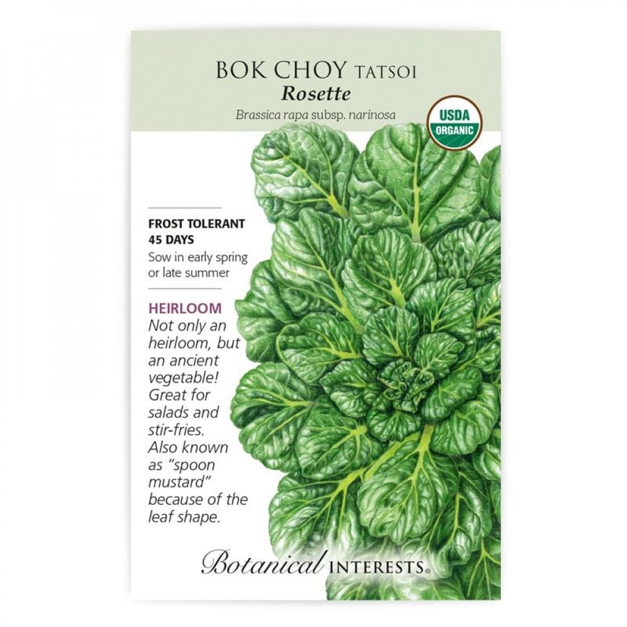 بذور بوك شوي تاستوي - Rosette Tatsoi Bok Choy Seeds