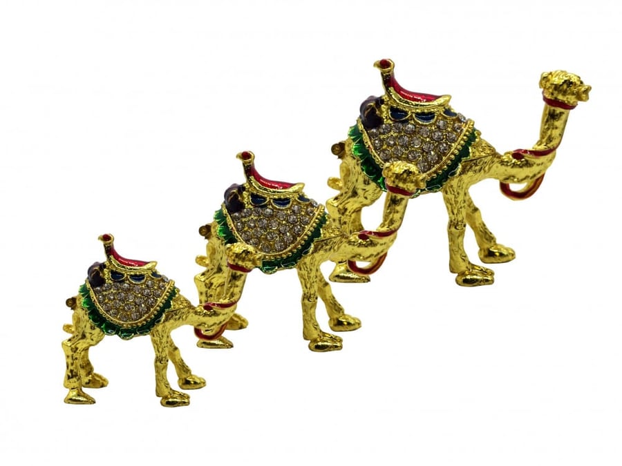 طقم مجسم جمل 1