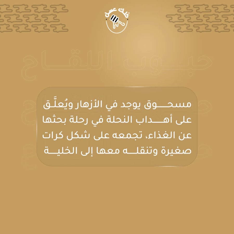 حبوب لقاح النحل 150 جرام - كلك عسل