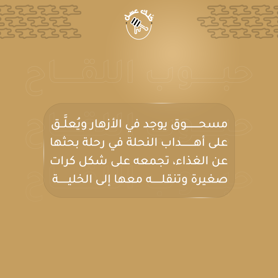 خاص بالتطبيق حبوب لقاح نحل العسل 30 غرام