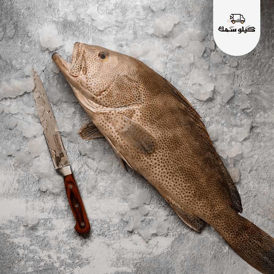 سمك سمان طازج – طعام صحي وفوائد مذهلة