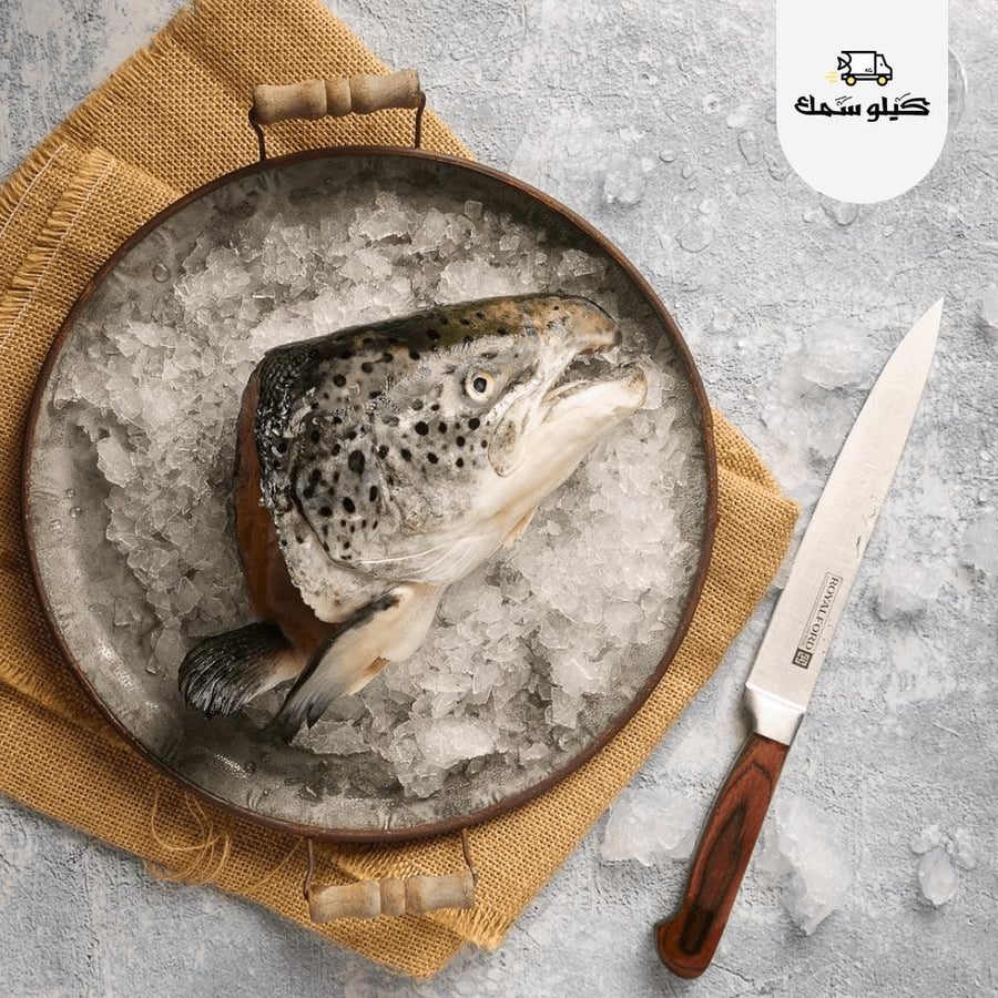 راس سمك السالمون طازج من النرويج وعالي الجودة