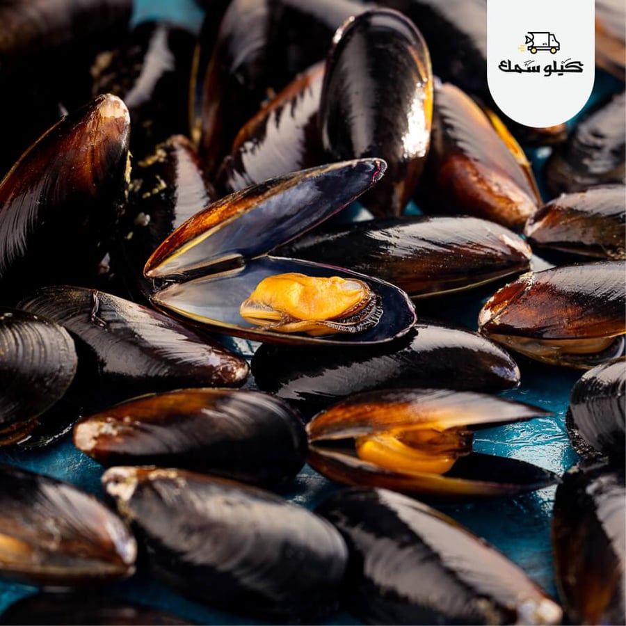 محار مجمد كامل تشيلي جاهز للطهي Black Mussels