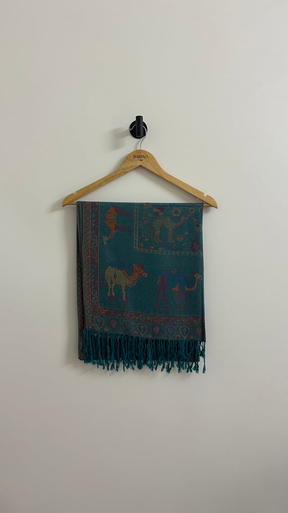 Pashmina62