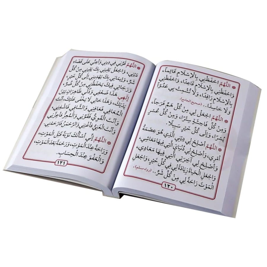 لا يرد القدر الا الدعاء