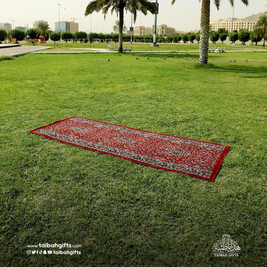 رول مدني