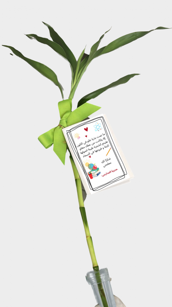 Bamboo plant with water tube to keep it