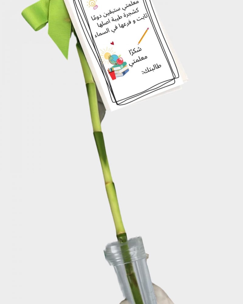 Bamboo plant with water tube to keep it
