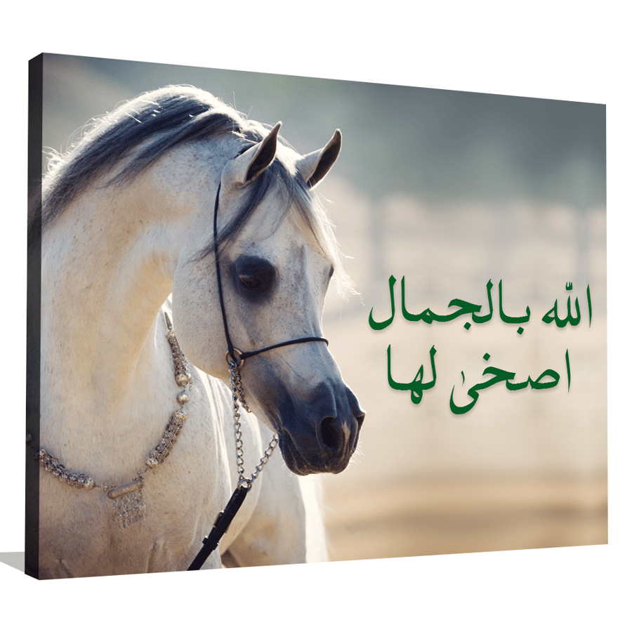 لوحة خيل عربي فريدة