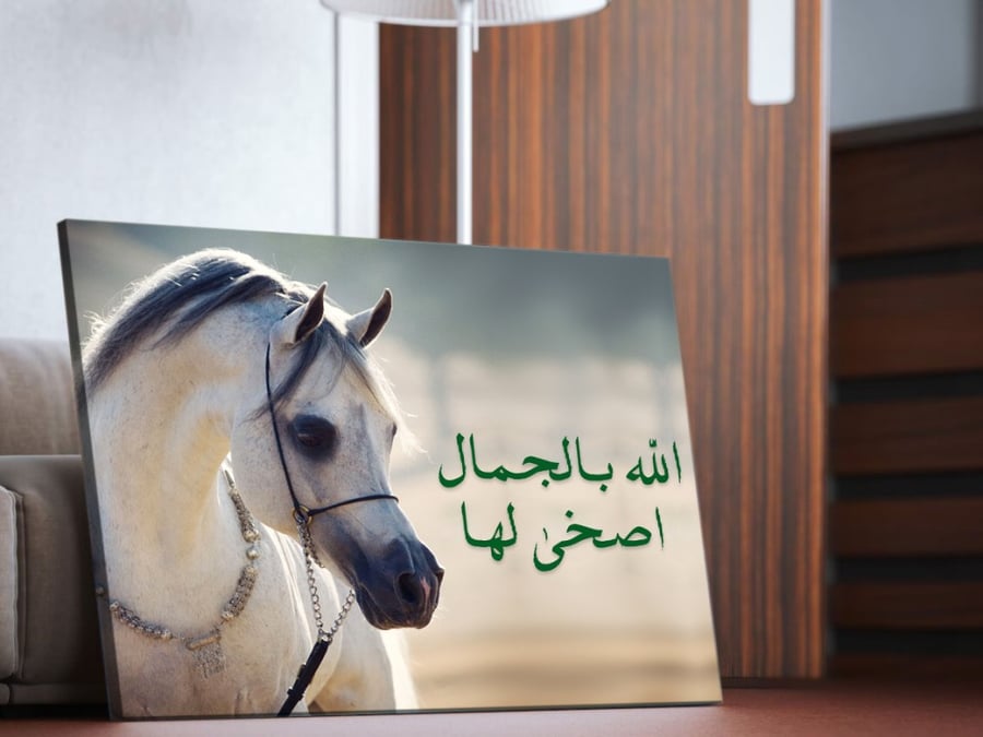 لوحة خيل عربي فريدة