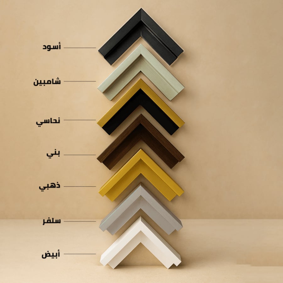 لوحات جدارية صقر