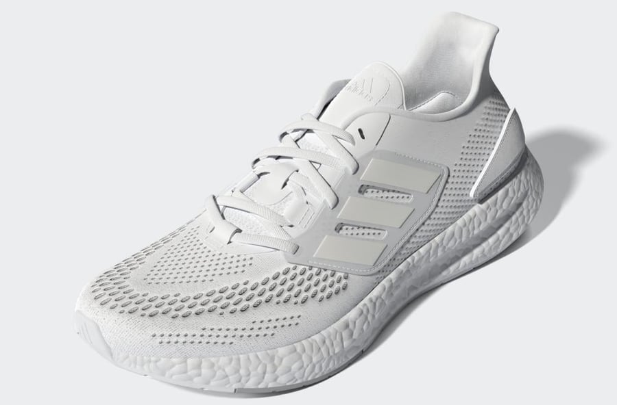 PUREBOOST 22