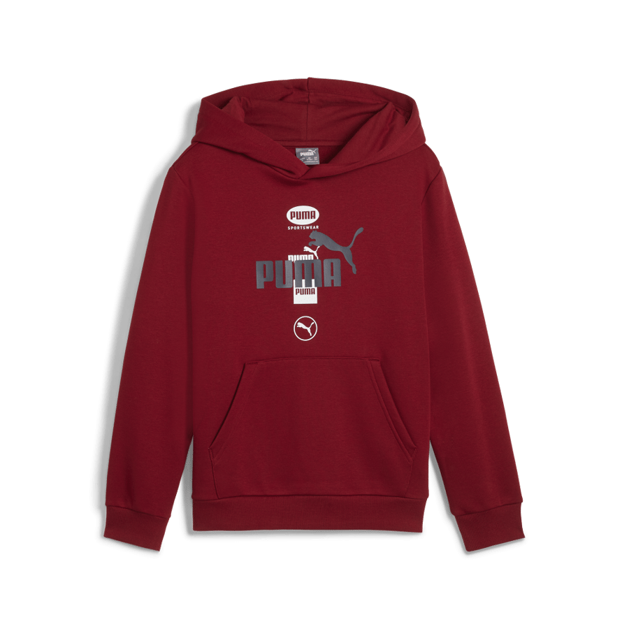 PUMA POWER Graphic Hoodie FL B Intense R