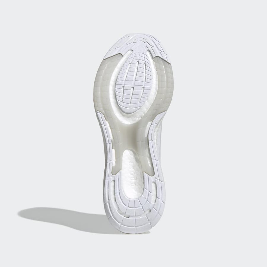 PUREBOOST 22