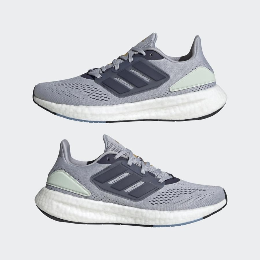 PUREBOOST 22
